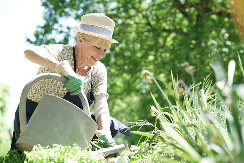 Glückliche Seniorin (Elfriede) mit Gießkanne bei der Gartenarbeit